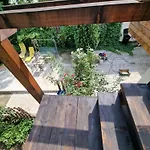 Pensión El Sol Cluj-Napoca