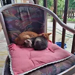 El Sol Pensión Cluj-Napoca