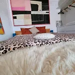 El Sol Guest house Cluj-Napoca