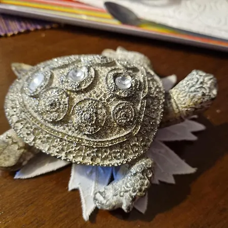 Gasthuis El Sol Cluj-Napoca