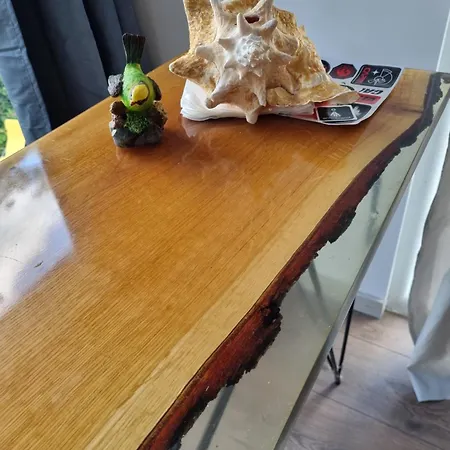 El Sol Gasthuis Cluj-Napoca