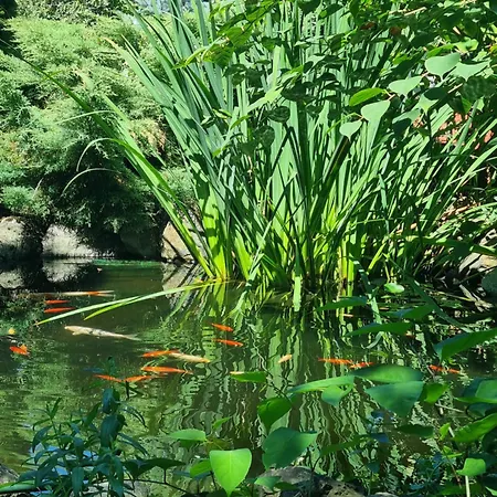 Πανσιόν El Sol 4*