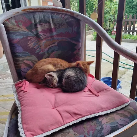 El Sol Gasthuis Cluj-Napoca