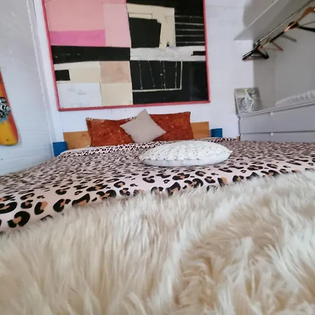 El Sol Gasthuis Cluj-Napoca