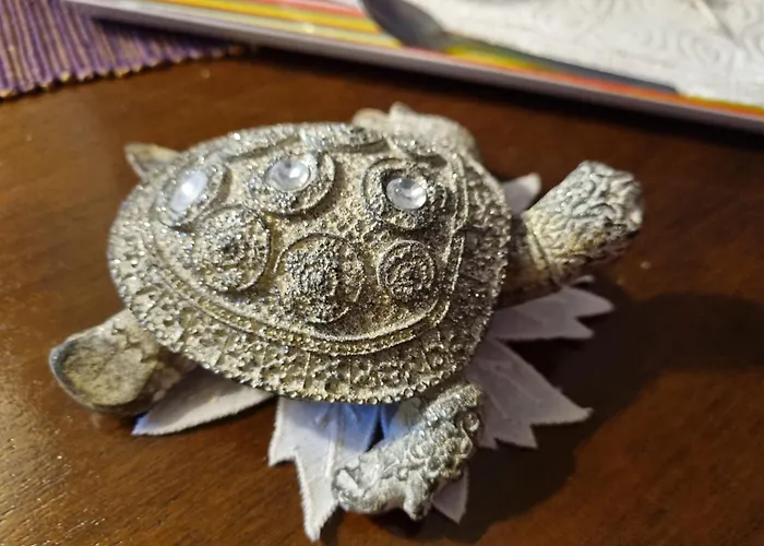 Гостьовий будинок El Sol Клуж-Напока