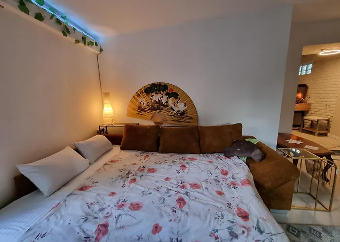 Pensión El Sol Cluj-Napoca