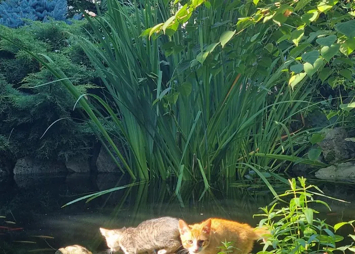 El Sol Клуж-Напока