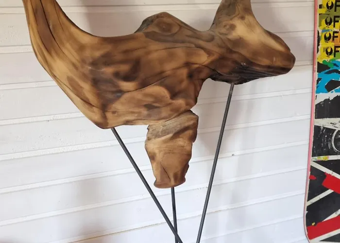 El Sol 4* Kluż-Napoka