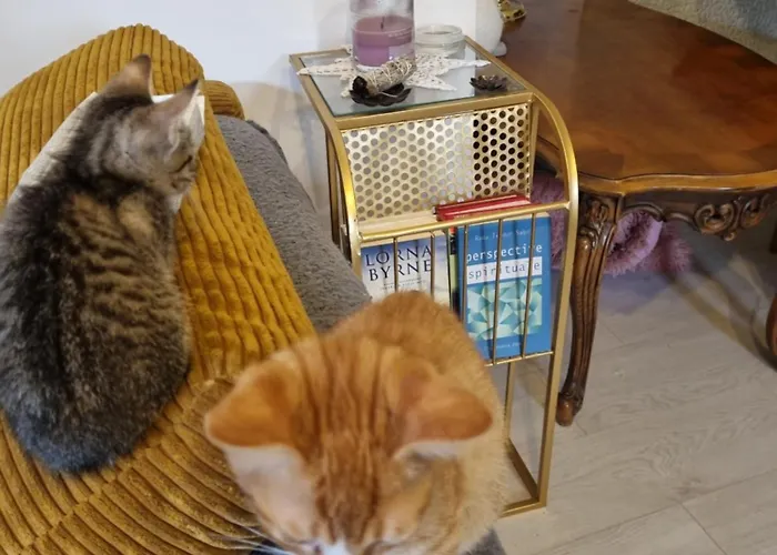 El Sol Pensjonat Kluż-Napoka