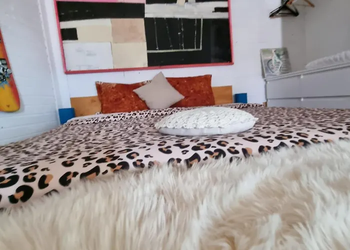 El Sol Gasthuis Cluj-Napoca